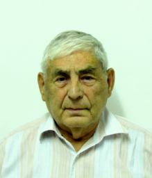 Менис Давид